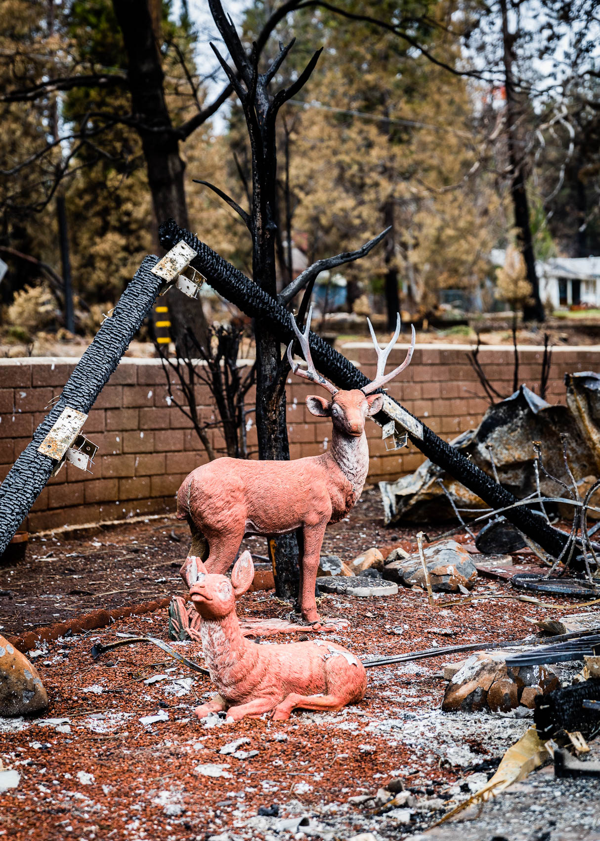 Paradise Lost. After the Camp Fire - the deadliest and most destructive wildfire in California history | PATRICK STRATTNER PHOTOGRAPHY