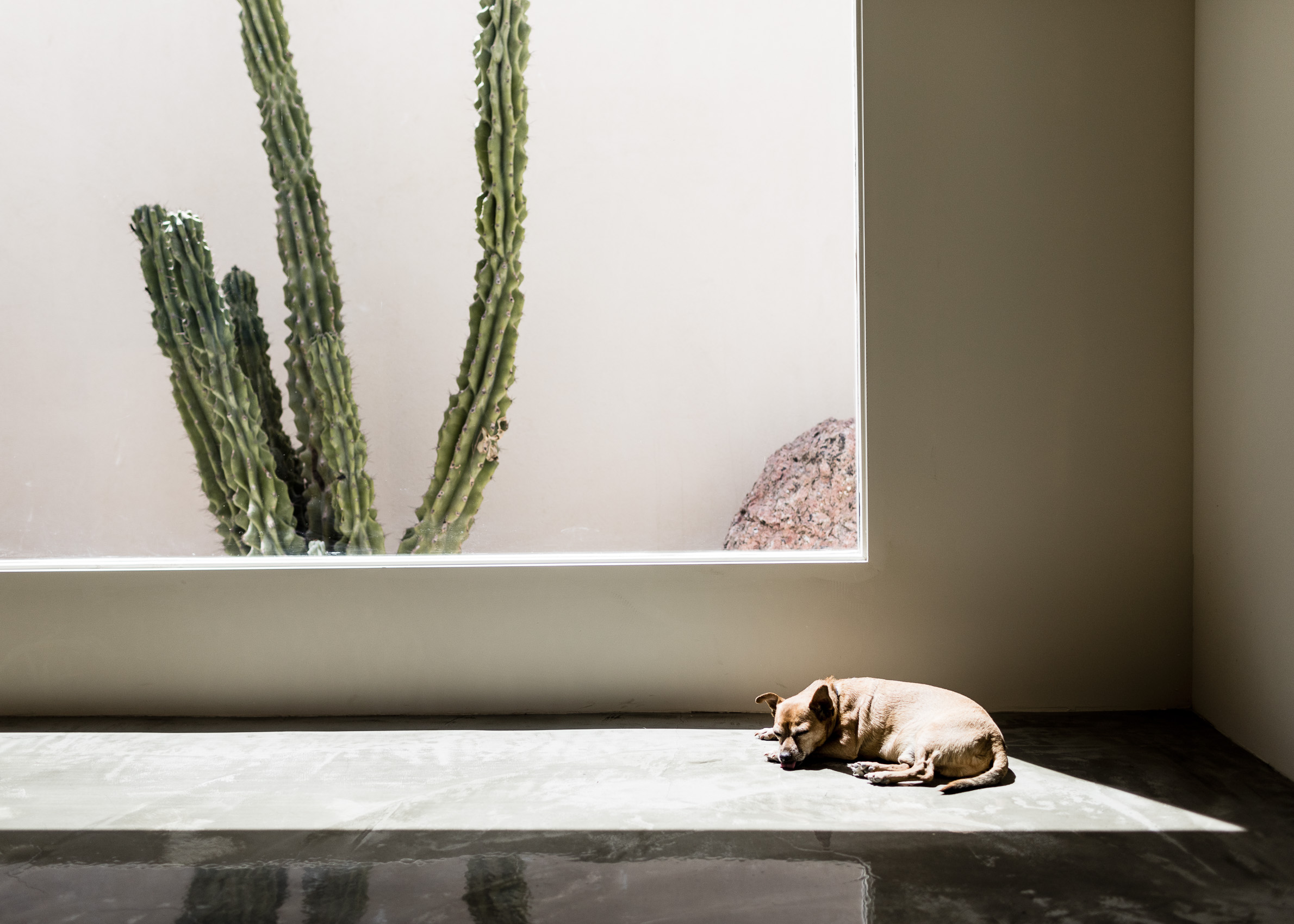 The Guthrie House, Palm Springs | Los Angeles | Editorial and Commercial Photographer Patrick Strattner